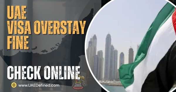 UAE Visa Overstay Fine Check Online